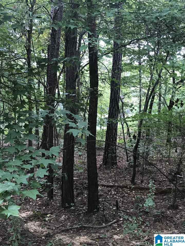 Image 1: Image 1