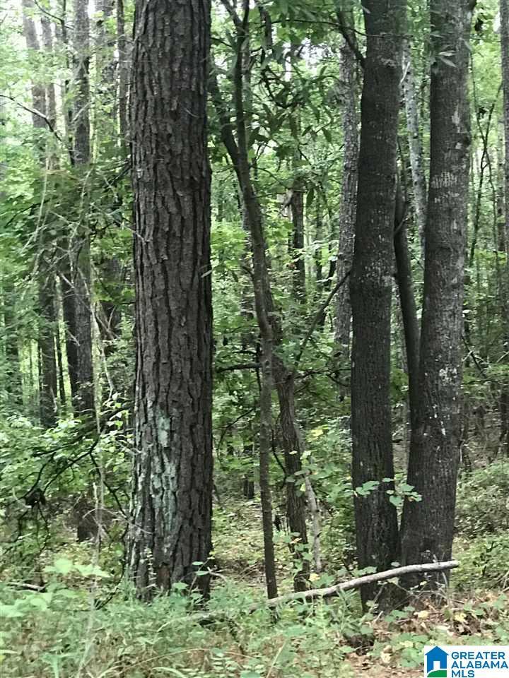Image 1: Image 1