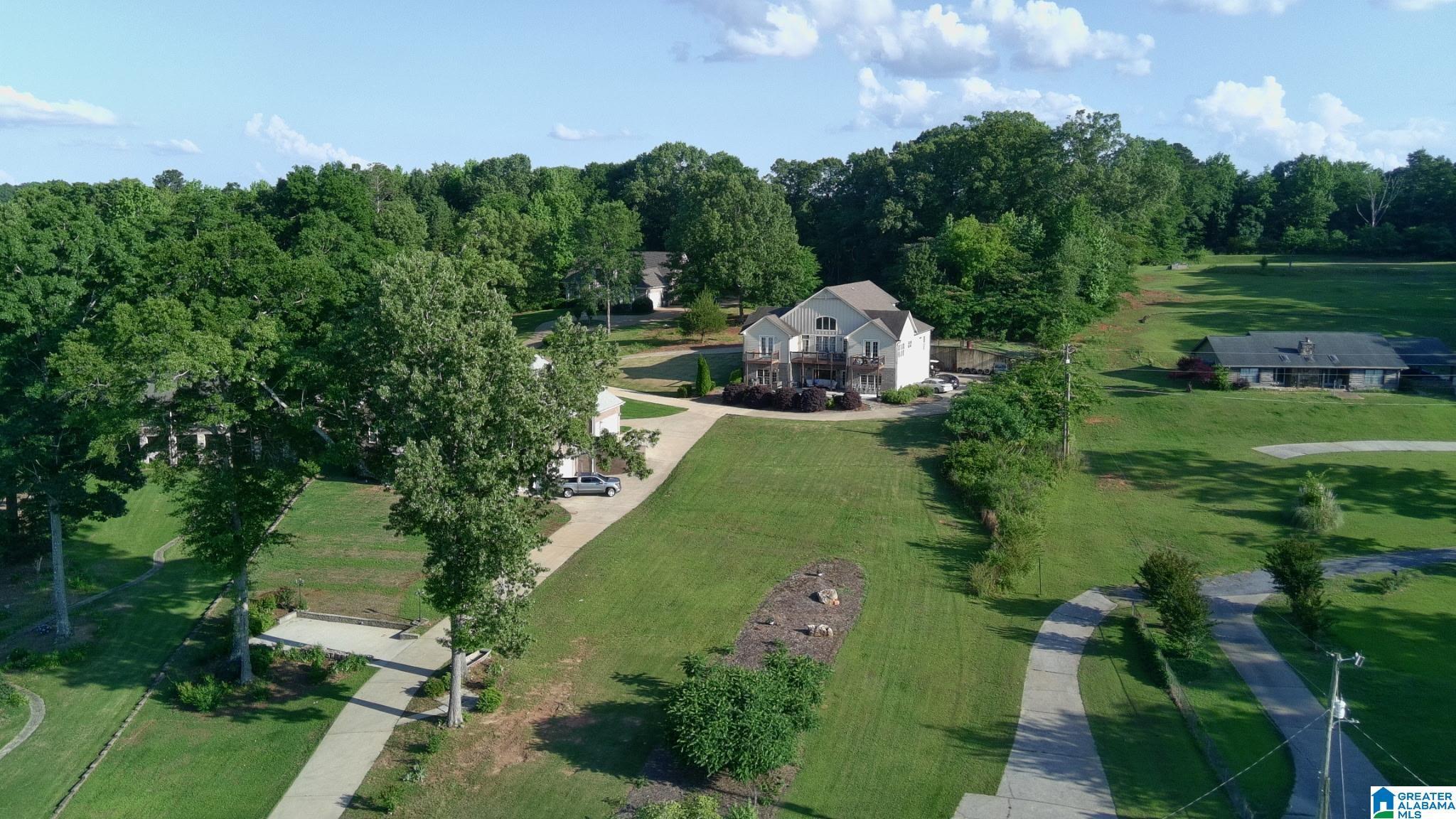 Image 3: Aerial View