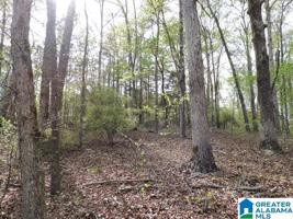 Lot 94 WRIGHT WAY DRIVE