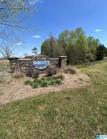 Lot 20 BROOKWATER POINTE