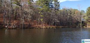 Lot 5 BIG Y COVE LOOP