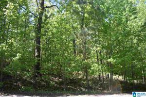 Lot 4 OVERLOOK DRIVE