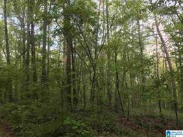1(+/-) Acre Lot Co Rd 5801 COUNTY ROAD 5801