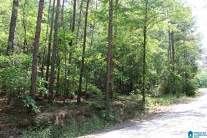 Lot 15 WOODGATE SHORES DRIVE
