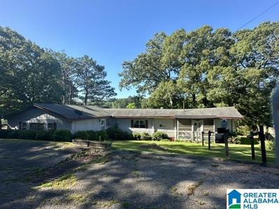 504 COOSA ISLAND ROAD