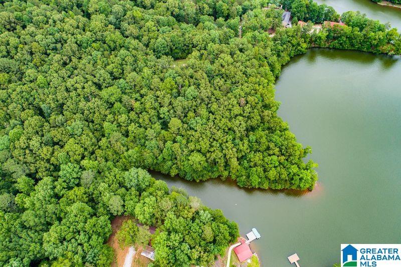 Image 3: ACREAGE HAS IMPRESSIVE WATER VIEWS