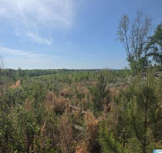 Tract 8 COUNTY ROAD 256