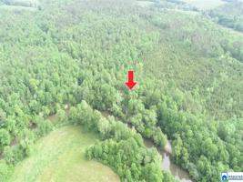 Tract 1 COUNTY ROAD 532
