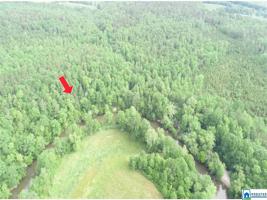 Tract 2 COUNTY ROAD 532