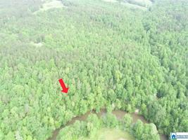 Tract 3 COUNTY ROAD 532