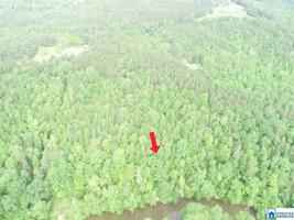 Tract 4 COUNTY ROAD 532