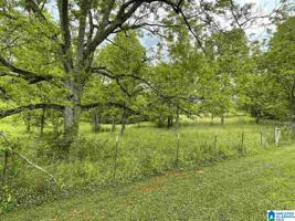Lot 21 acres COUNTY ROAD 263