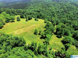 Lot 13 acres COUNTY ROAD 261
