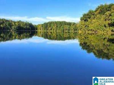 Lot 9 BIG Y COVE LOOP
