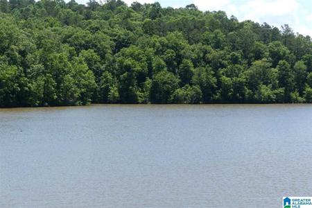 Lot 20 FOSTER COVE DRIVE