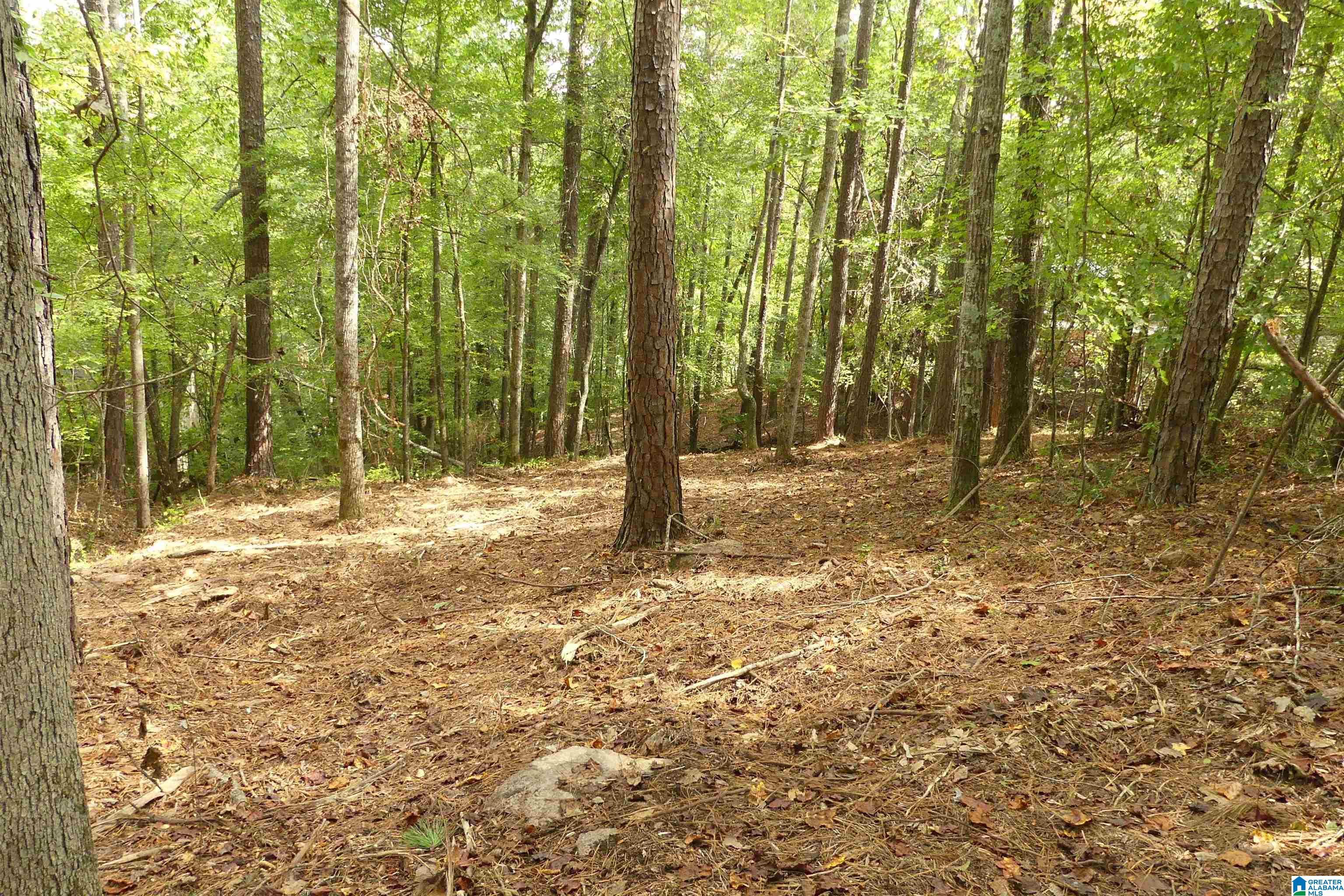 Image 3: Image 3