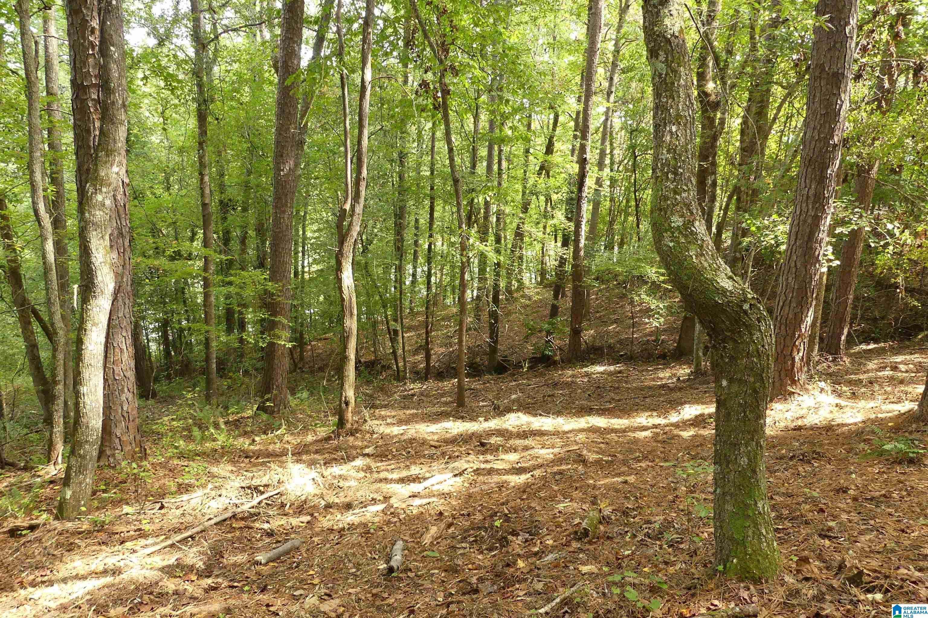 Image 4: Image 4