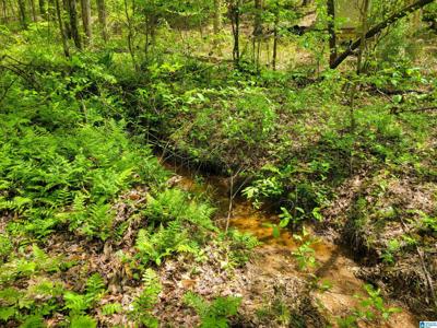 4599 COUNTY ROAD 82