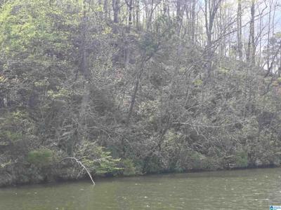 Lot 1 EAGLE MOUNTAIN ROAD
