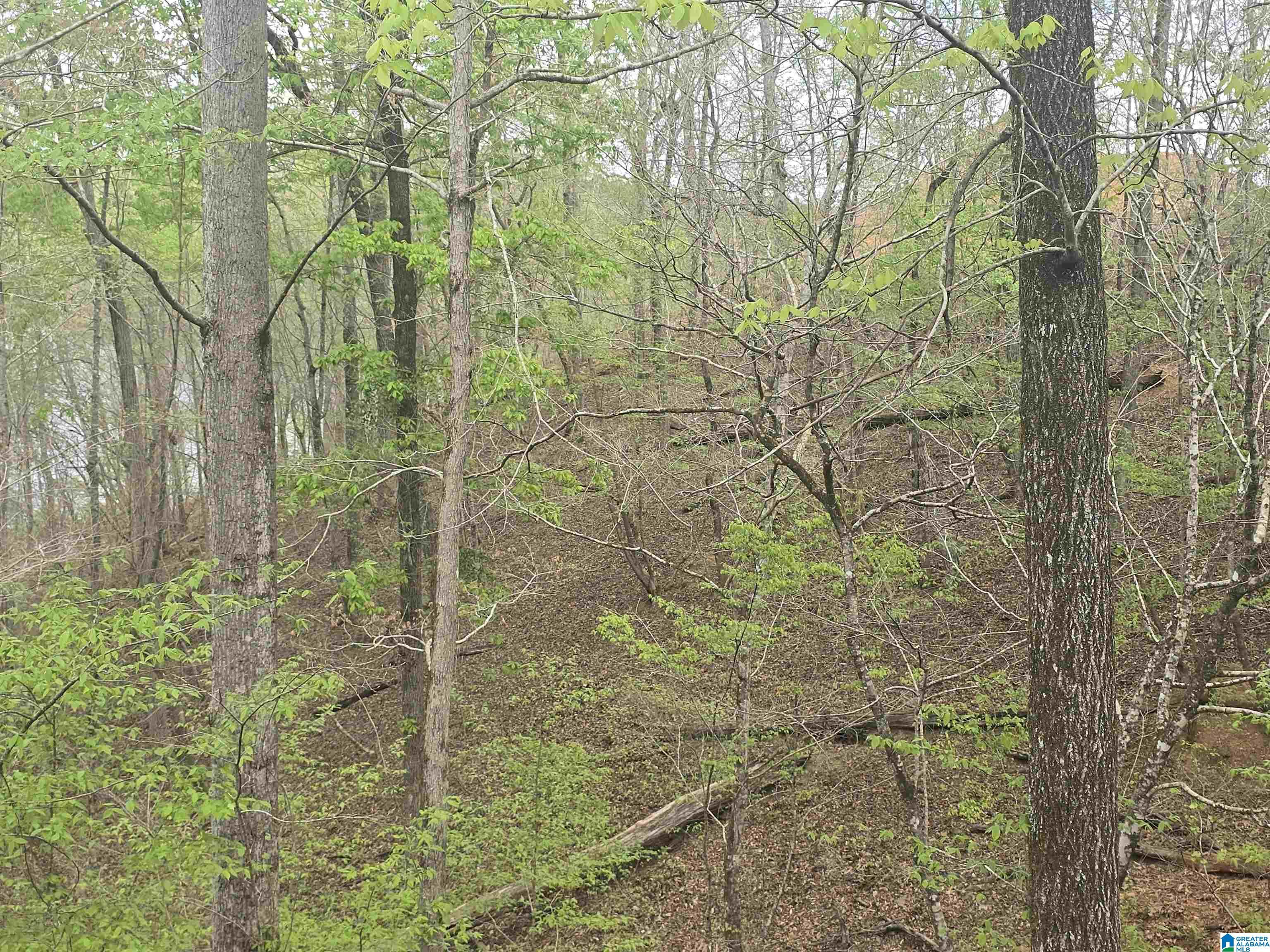 Image 2: View
