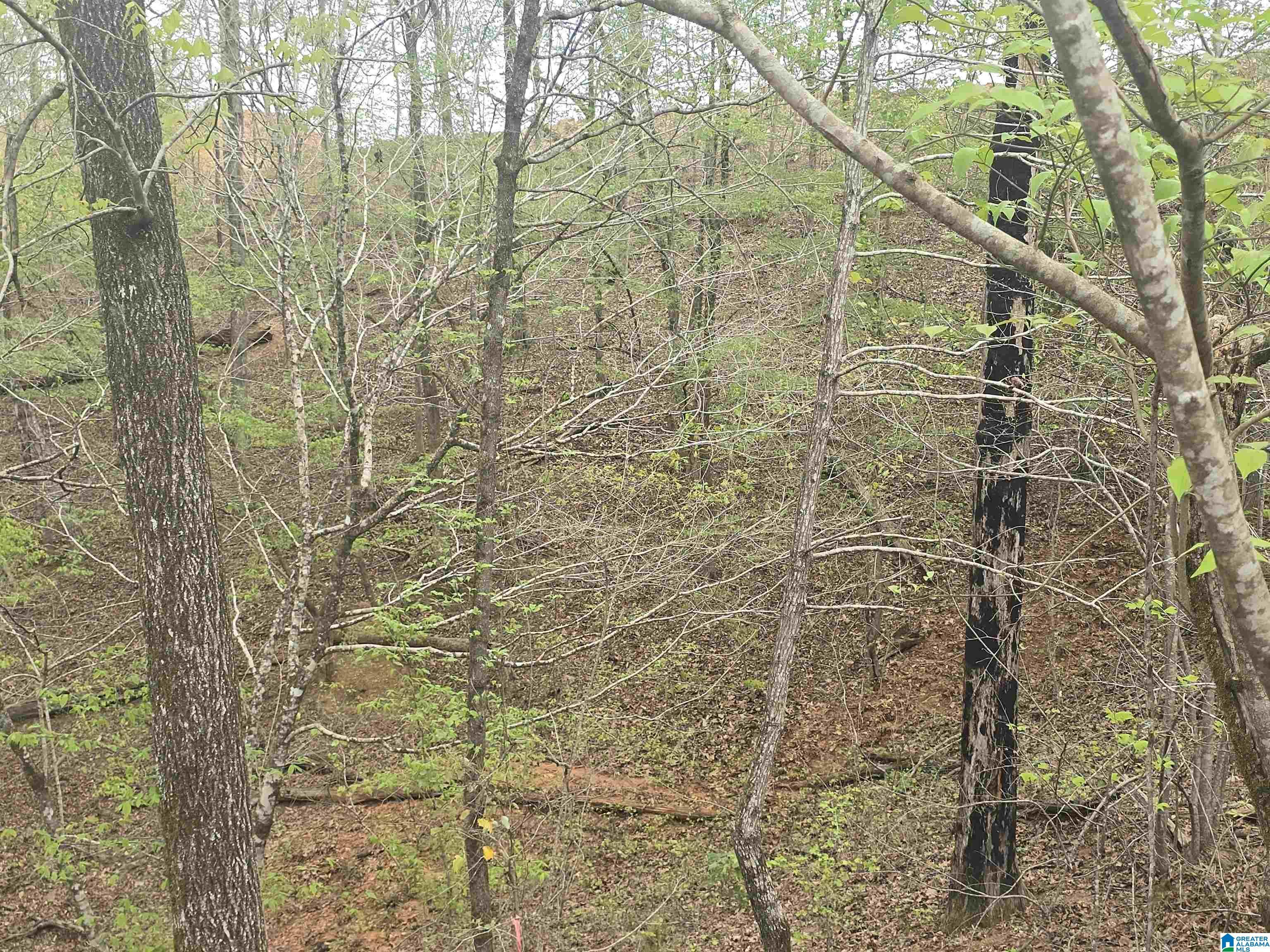Image 3: View