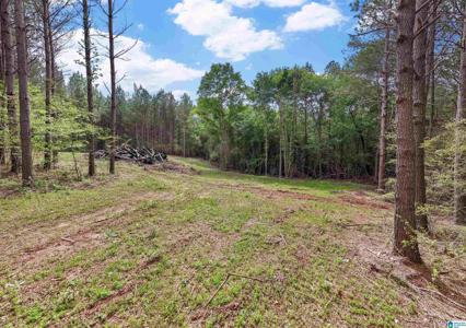 0 COUNTY ROAD 432
