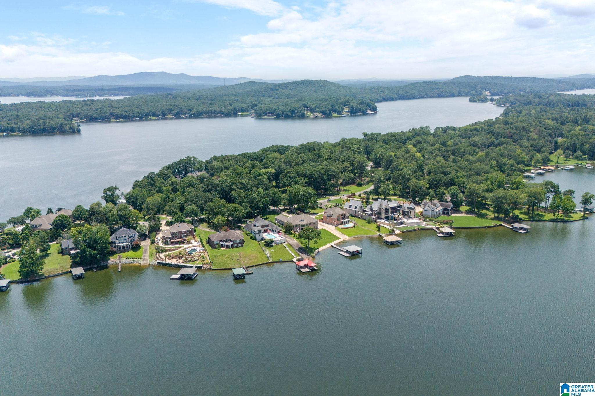 Image 4: Aerial View - River Oaks Point & Logan Martin Lake