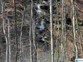 558 CO RD 53