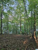 Lot 2 COUNTY ROAD 544