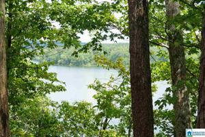 893 OLD PATTON FERRY RD