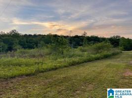 285 COUNTY ROAD 4