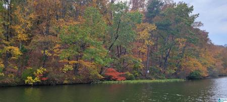 Lot 5 PRESERVE CIRCLE