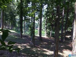 133 EMERALD LAKE DR