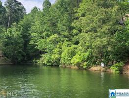 44 SPRINGWATER COVE