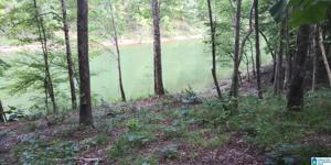 Lot 13 HIGHWAY 63