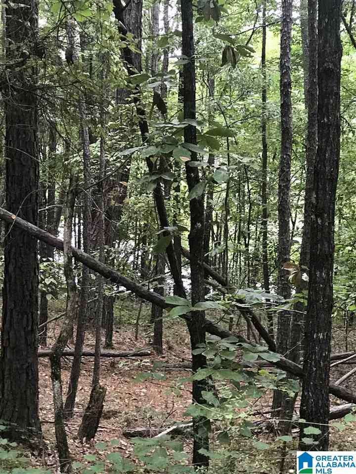 Image 1: Image 1
