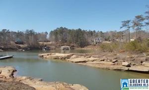 Lot 3 BEAR BRANCH COVE RD