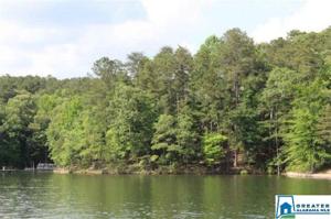 Lot 24 RED EYE LN