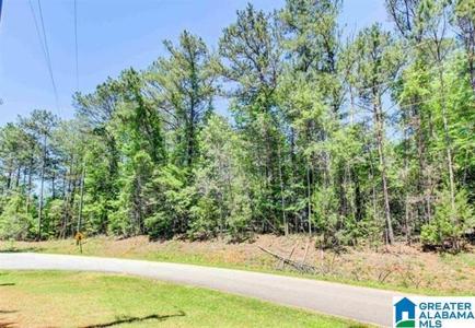 Lot 7A COUNTY ROAD 804