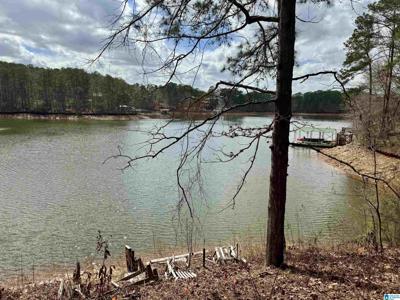 Lot 6 COUNTY ROAD 813
