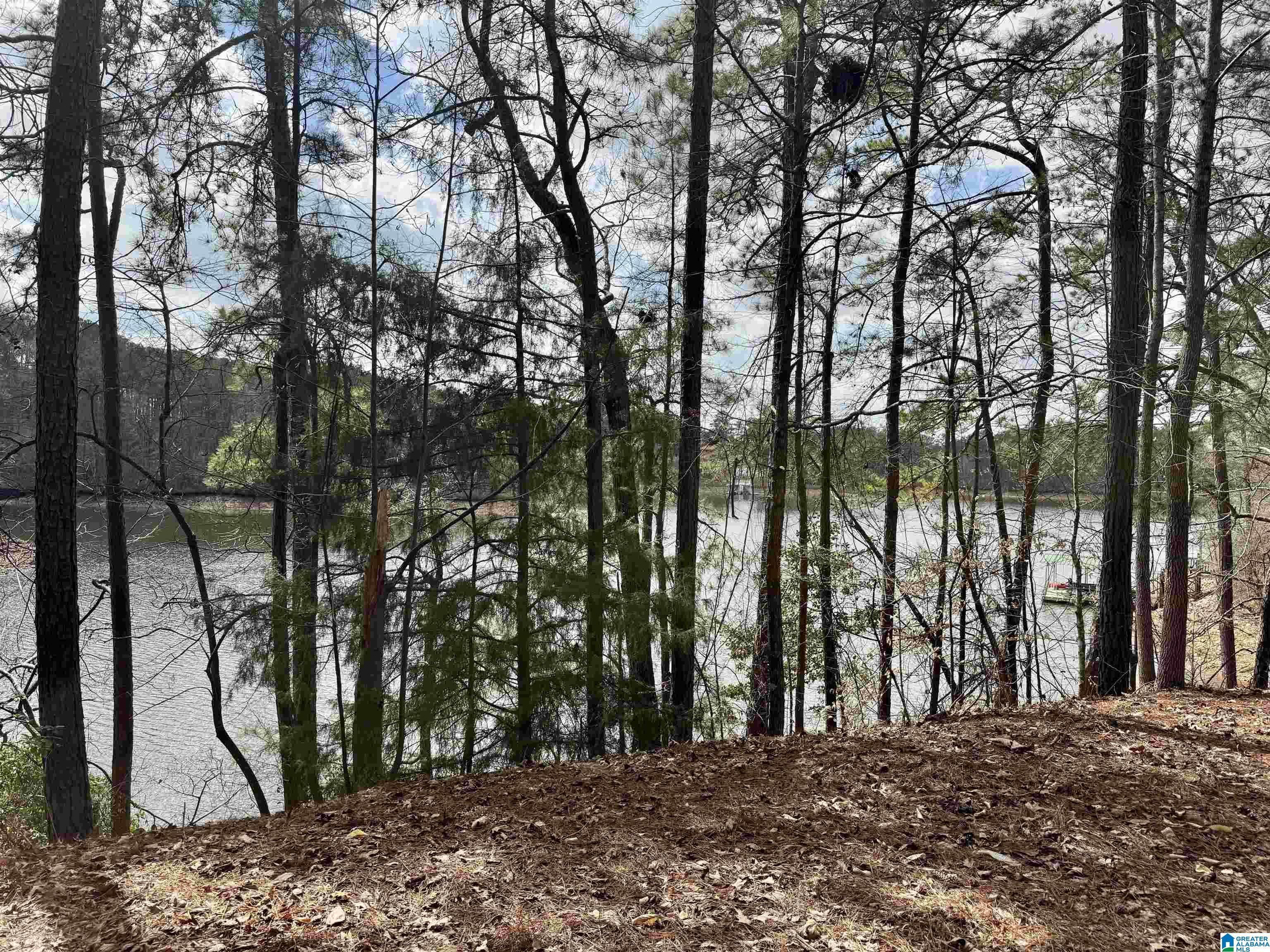 Image 2: View