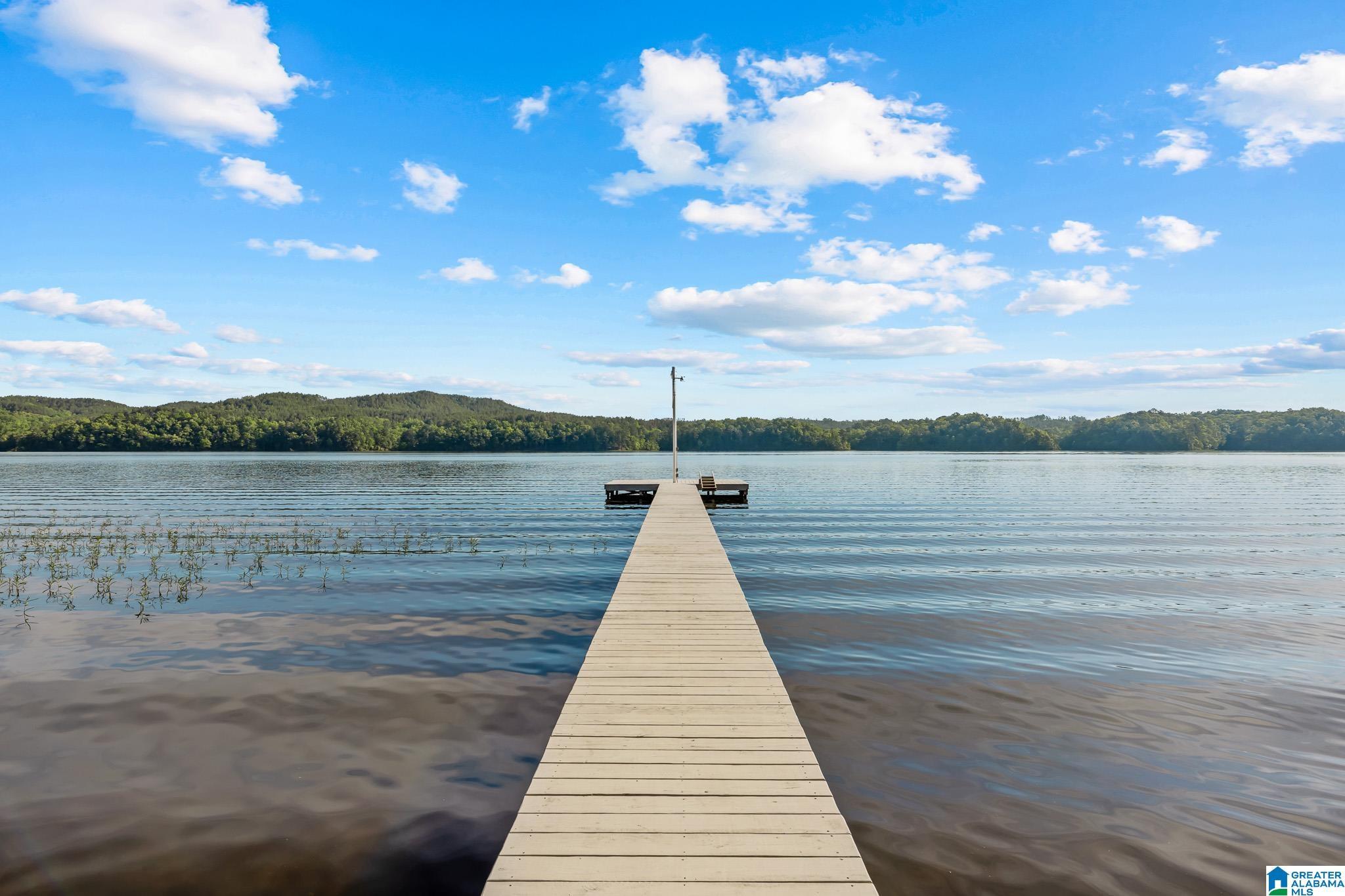 Image 4: Dock