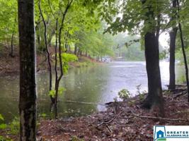 Lot 13 HB BLUEBIRD DR