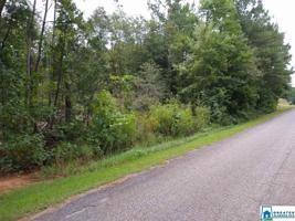 Lot 3 Acres CO RD 329