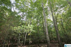 Lot 33.080 CO RD 268