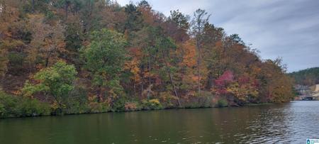 Lot 4 PRESERVE CIRCLE