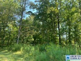 Lot 11 acres N OAK RD