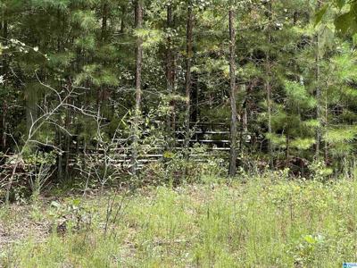 Lot 30, 31, 32 COUNTY ROAD 214