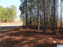 233 PRESERVE DR